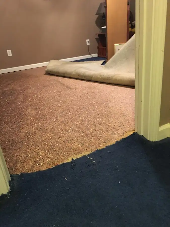Carpet pad removal revealing water damage during Water Mitigation Services in Shelbyville