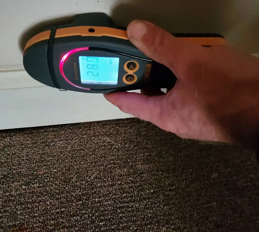 Moisture detection at baseboard during Mold Inspection & Testing in Shelbyville